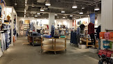 American Eagle in Co