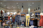 American Eagle in Id