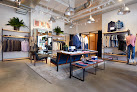 Bonobos in Dc