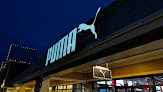 Puma in De