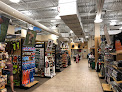 Scheels in Ut