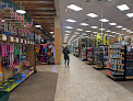 Scheels in Mt